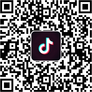 抖音小程序
